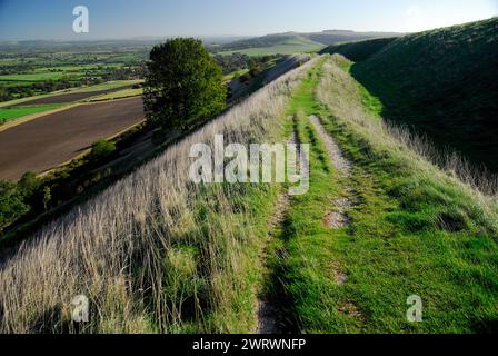 Der weitläufige Blick über Wiltshire von der Stadtmauer des Bratton Camp auf Westbury Hill. Stockfoto