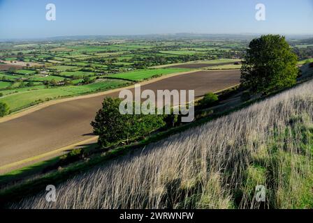 Der weitläufige Blick über Wiltshire von der Stadtmauer des Bratton Camp auf Westbury Hill. Stockfoto