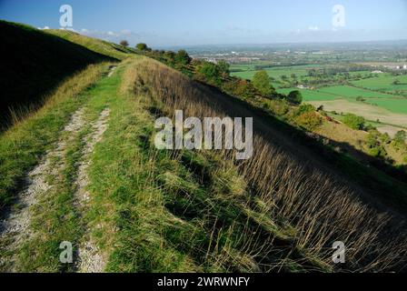 Der weitläufige Blick über Wiltshire von der Stadtmauer des Bratton Camp auf Westbury Hill. Stockfoto