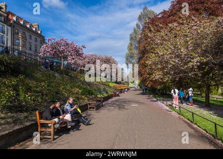 Edinburgh, Schottland, Vereinigtes Königreich - 9. Mai 2023: Menschen in Princes Street Gardens im Frühjahr, Gasse mit Bänken und blühenden Bäumen, Park im Stadtzentrum. Stockfoto