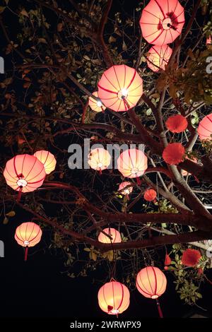 Hoi an bei Nacht, Provinz Quảng Nam, Vietnam, Asien Stockfoto
