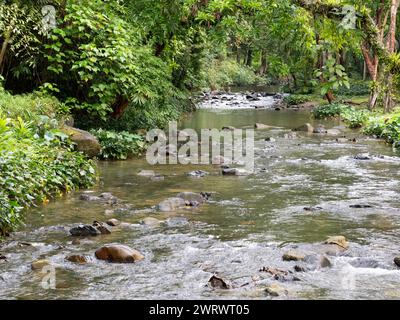 Fluss im Naturschutzgebiet Khao Sok, Thailand Stockfoto