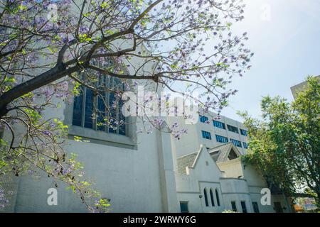 Religionsschule Wilshire Boulevard Temple in Los angeles, usa - 2. märz 2024. Hochwertige Fotos Stockfoto