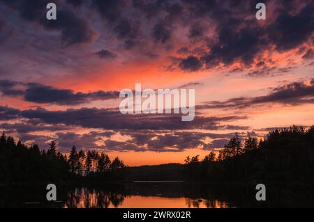 Ein atemberaubender Sonnenuntergang strahlt ein warmes Leuchten über einem ruhigen schwedischen See aus, wobei der Abendhimmel in Rosa- und Orangentönen gemalt ist. Silhouetten des Suruus Stockfoto