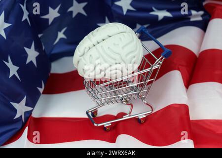 Ein Einkaufswagen mit einem Gehirn, das vor einer amerikanischen Flagge sichtbar ist, symbolisiert die Kreuzung von Konsum und Patriotismus. Stockfoto