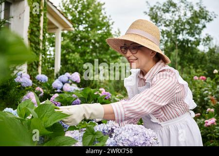 Ansprechende, fröhliche, reife Frau mit Hut und Brille, die sich um ihre lebendige, frische Hortensie kümmert Stockfoto