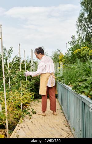 Fröhlich ansprechende reife Frau mit Brille und Handschuhen, die sich um ihre frischen Beeren im Garten kümmert Stockfoto