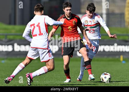 Tubize, Belgien. März 2024. Zubor Adam (21) aus Ungarn, Lucca Darcon (5) aus Belgien und Rab Bence (23) aus Ungarn haben am Donnerstag, den 14. März 2024 in Tubize, Belgien, bei einem Freundschaftsspiel zwischen den belgischen U16-Nationalmannschaften und Ungarn um den Ball gekämpft. Quelle: Sportpix/Alamy Live News Stockfoto