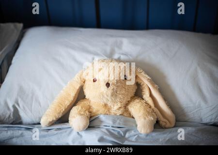 Weißes Häschen Plüschtier, das unter der Decke im Bett der Eltern liegt, mit blauen Decken und weichem Tageslicht. Blick von der Mitte. Stockfoto