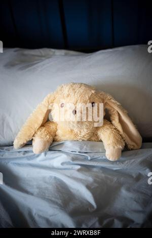 Weißes Häschen Plüschtier, das unter der Decke im Bett der Eltern liegt, mit blauen Decken und weichem Tageslicht. Zentrale Ansicht, vertikale Aufnahme. Stockfoto