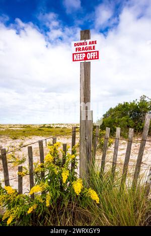 Ein Keep-Off-Schild und ein Zaun auf empfindlichen Sanddünen mit Goldenrod-Blüten in Assateague Island National Seashore, Maryland Stockfoto