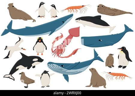 Set von farbenfrohen flachen Tieren in der Antarktis. Handgezeichnete Vektorsammlung von Walen, Pinguinen, Skua, Krill, Robben, Schweinswal. Stock Vektor