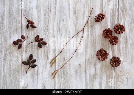 Stilllebenskomposition aus winzigen Tannenzapfen und Douglasienzapfen, Erlenknospen und Catkins auf rustikalem verwittertem Bretthintergrund. Von oben in Hor geschossen Stockfoto