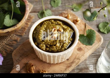 Pesto-Sauce aus frischen jungen Knoblauchsenfblättern - Wildpflanze, die im Frühjahr geerntet wird Stockfoto