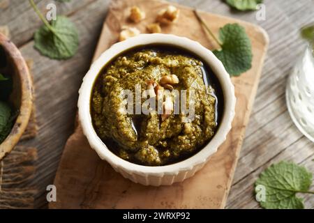 Pesto-Sauce aus frischen jungen Knoblauchsenfblättern - eine wilde essbare Pflanze, die im Frühjahr wächst Stockfoto