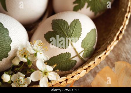 Rohe Ostereier mit frischen Blättern - Vorbereitung zum Färben mit Zwiebelschalen Stockfoto