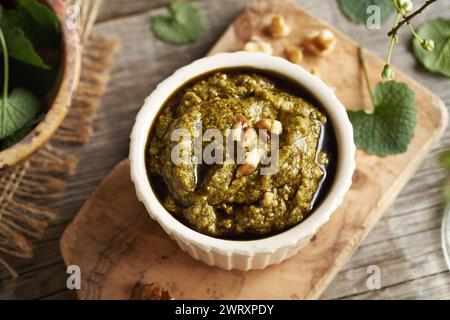 Eine weiße Schüssel Pesto-Sauce aus frischen jungen Knoblauchsenfblättern - eine wilde essbare Pflanze, die im Frühjahr geerntet wird Stockfoto