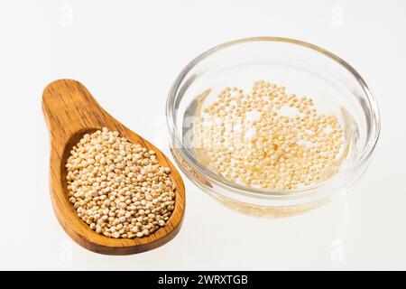 Chenopodium quinoa – in Wasser getränktes Quinoa-Getreide Stockfoto