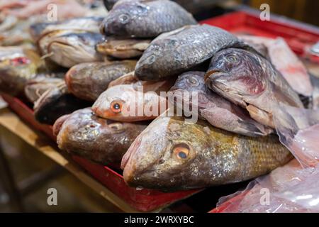 Oaxaca, Mexiko - Fisch auf dem Markt von Benito Juarez. Er wurde 1894 eröffnet und ist einer der größten und ältesten Märkte in Oaxaca. Es gibt viele Dutzend Stände Stockfoto