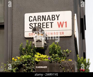 Straßenschild Carnaby Street, Westminster, London, England, Großbritannien Stockfoto