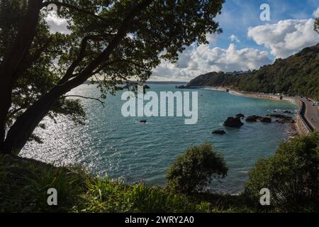 Wunderschöner Blick auf Meadfoot Beach, Torquay, Devon, Großbritannien Stockfoto