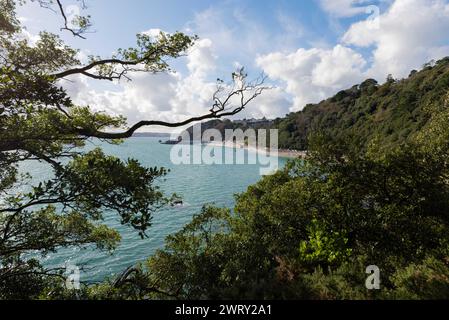 Wunderschöner Blick auf Meadfoot Beach, Torquay, Devon, Großbritannien Stockfoto