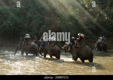 CHIANG Mai, THAILAND - 23. FEBRUAR 2018 : Touristen genießen das Reiten auf Asien Elefanten Abenteuer Trekking im Öko-Tourismus in Chiang Mai, Thailand. Stockfoto