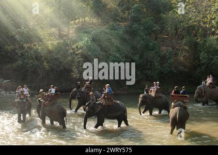 CHIANG Mai, THAILAND - 23. FEBRUAR 2018 : Touristen genießen das Reiten auf Asien Elefanten Abenteuer Trekking im Öko-Tourismus in Chiang Mai, Thailand. Stockfoto