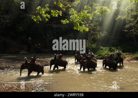 CHIANG Mai, THAILAND - 23. FEBRUAR 2018 : Touristen genießen das Reiten auf Asien Elefanten Abenteuer Trekking im Öko-Tourismus in Chiang Mai, Thailand. Stockfoto