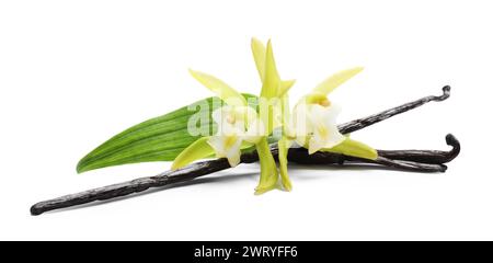 Vanilleschoten, schöne Blumen und grünes Blatt isoliert auf weiß Stockfoto