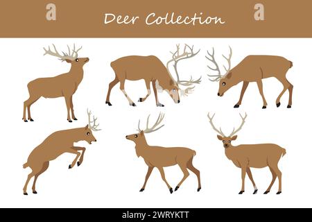Hirschsammlung. Vektorabbildung. Isoliert auf weißem Hintergrund. Stock Vektor