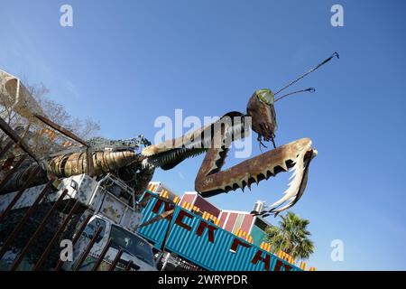 Las Vegas, Nevada, USA 7. März 2024 Gebetsmantis im Container Park at Fremont Street Experience in Downtown Las Vegas am 7. März 2024 in Las Vegas, Nevada, USA. Foto: Barry King/Alamy Stock Photo Stockfoto