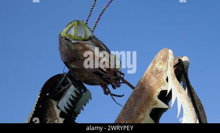 Las Vegas, Nevada, USA 7. März 2024 Gebetsmantis im Container Park at Fremont Street Experience in Downtown Las Vegas am 7. März 2024 in Las Vegas, Nevada, USA. Foto: Barry King/Alamy Stock Photo Stockfoto