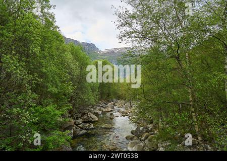 Die dramatisch gewundene Bergstraße mit vielen Serpentinen und Haarnadelkurven hinunter nach Lysebotn im Lysefjorden im gebirgigen Hochland Norwegens. Stockfoto