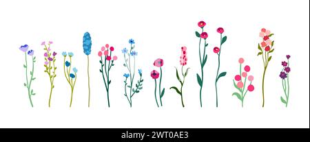 Ein Satz zart anmutiger Wildblumen auf hohen Stämmen mit Laub. Einfache Blumenelemente. Wild wachsende Pflanzen, isoliert auf weißem Hintergrund. Illustration des flachen Vektors. Stock Vektor