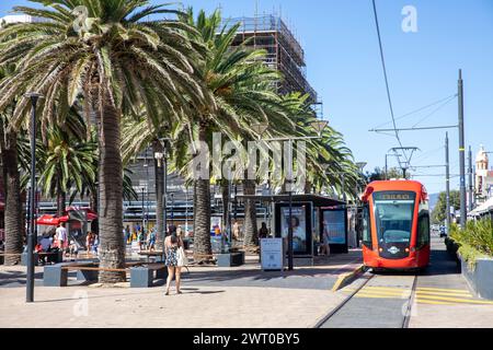 Glenelg, Stadtbahn, Küstenvorort von Adelaide in South Australia, mit einem heißen Märztag im Jahr 2024 und blauem Himmel, Australien Stockfoto