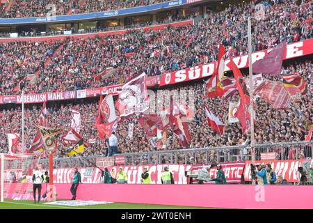 MÜNCHEN – 9. MÄRZ: Fans des FC Bayer München beim Bundesliga-Spiel zwischen dem FC Bayern München und dem 1. MÄRZ. FSV Mainz 05 in der Allianz Arena am 9. März 2024 in München.240309 SEPA 24 039 - 20240310 PD0792 Stockfoto