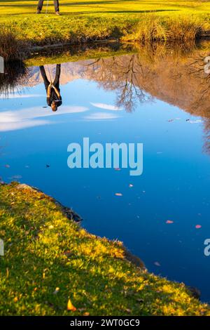 Männlicher Golfer reflektierte sich in einem Wasserteich und schlug den Golfball auf dem Fairway auf dem Golfplatz mit Mountain an einem sonnigen Tag in der Schweiz Stockfoto