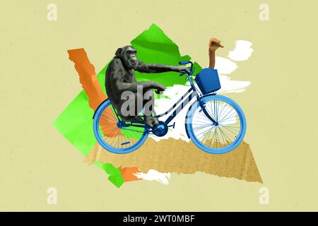 3D-Retro-abstrakte kreative Artwork-Vorlagen-Collage von Affentier, die Fahrrad fahren, Straußenkopf, seltsamer Freak, bizarr ungewöhnlich Stockfoto