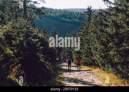 Menschen auf dem Weg zum höchsten Gipfel von Karkonosse-Sniezka Stockfoto