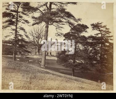 Haus durch Bäume gesehen. Möglicherweise Frances Elizabeth Jocelyn, Viscountess Jocelyn, Fotograf (Britin, 1820–1880) um 1860–1870 Ein Blick auf ein großes Haus oder Anwesen durch eine Baumgruppe. Es gibt Hirsche oder möglicherweise Viehvieh, die auf dem Gras jenseits der Bäume vor dem Anwesen weiden. Das Anwesen befindet sich möglicherweise in Bletchingley. Stockfoto