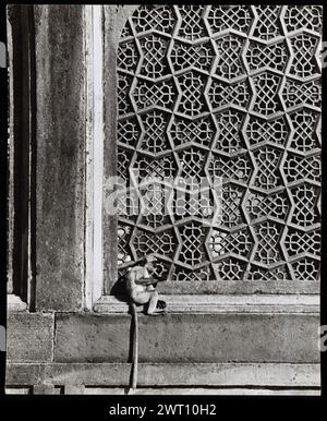 Indiens Sikandra Akbars Grabplatte 32. Swaan, Wim. 1968 oder früher fotografische Produktionsmaterialien für Städte in Mughul Indien: Delhi, Agra, Fatehpur Sikri Fotografien der Architektur wurden aus diesen Materialien ausgewählt und digitalisiert. Porträts, ethnographische Bilder und Bilder von Museumsgegenständen waren ausgeschlossen. Digitale Bilder werden geografisch angeordnet, zuerst nach Land, dann nach Stadt, dann nach Standortkomplex oder Denkmal, mit allen Namen in alphabetischer Reihenfolge. Ortsnamen stammen aus dem Getty Thesaurus of Geographic Names (TGN)®, den Fachüberschriften der Library of Congress und der wissenschaftlichen Publikation Stockfoto