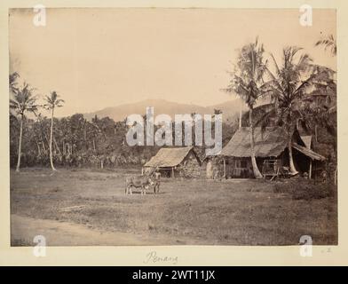 Penang. Unbekannt, Fotograf 1850er–1890er Ansicht eines kleinen strohgedeckten Hauses mit einer kleineren Hütte dahinter. Das Haus liegt am Rande einer tropischen Waldlichtung, die von hohen Palmen und anderer verworrener Vegetation umgeben ist. Drei Kinder sitzen auf einer Bank unter der Veranda des Hauses, und ein Mann steht auf dem grasbewachsenen Feld mit einem Ochsen, während er in die Kamera schaut. Eine Feldstraße führt im Vordergrund am Feld vorbei. (Recto, Halterung) unten in der Mitte, unten bedruckt, handgeschrieben mit Bleistift: 'Penang'; unten rechts, unten bedruckt, handgeschrieben mit Bleistift: '2' Stockfoto