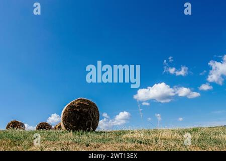 Heuballen auf einer Wiese mit blauem Himmel in italien Stockfoto