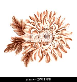 Blume Chrysantheme in Aquarell, monochrom, isoliert auf weißem Hintergrund. Handgezeichnete botanische Illustration in brauner Farbe. Vintage-Blumenzeichnung Stockfoto