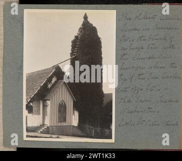 Little St. Peterskirche. J. F. Ford, Fotograf (Amerikaner, aktive 1900er Jahre) um 1900 View of St. Peter's Episcopal Church in Tacoma, Washington. Der Turm der Kirche ist ein hoher, belaubter Baumschmuck neben der Kirche, mit einer Glocke an der Spitze. Eine Leiter, die am Dach der Kirche befestigt ist, führt zum Baum und bietet Zugang zur Glocke. Rechts, neben dem Druck von oben nach unten, handgeschrieben in schwarzer Tinte: "Die älteste Kirche/Turm Amerikas. / Es ist der Stamm / ein großer Baum mit / der Kirchenglocke / an der Stelle, an der die / Oberseite des Baumes abgeschnitten wurde. Es ist in / 'Altstadt', Stockfoto