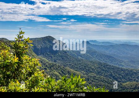 Blick auf den Regenwald vom Best of All Lookout im Springbrook National Park, New South Wales, Australien. Stockfoto