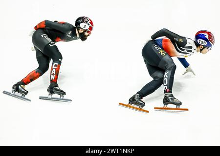 ROTTERDAM - 05.03.2024, (l-r) Steven Dubois (CAN), Daeheon Hwang (KOR) beim 1500-Meter-Viertelfinale der Männer bei den Kurzstrecken-Weltmeisterschaften in Ahoy. ANP KOEN VAN WEEL Stockfoto