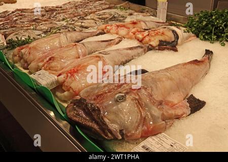 Seeteufel am Fischhändler-Stand auf dem Markt in Palma Stockfoto