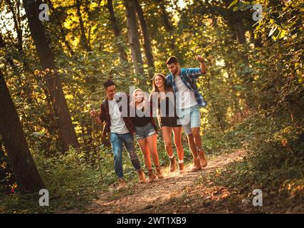 Eine Gruppe von vier Freunden Spaß wandern durch Wald zusammen. Stockfoto